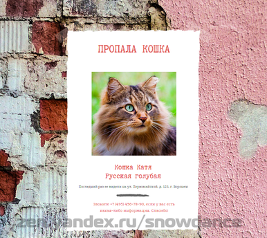 Объявление о пропавшей кошке. Фото автора.