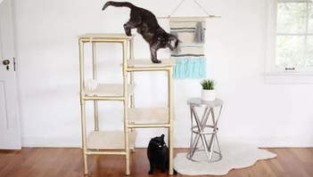 Кошачья мебель - необходимая вещь в доме с кошками.  Но она, конечно, не дешевая, особенно если у вас несколько кошек.-2