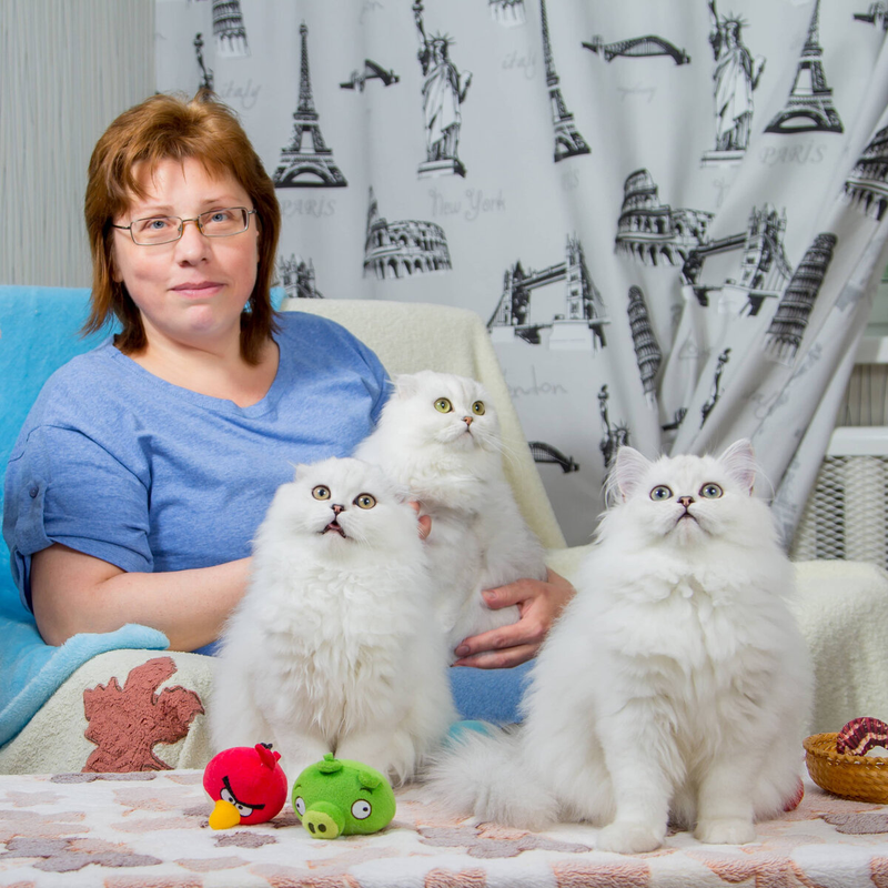 Юлия, владелец питомника, специалист по воспитанию кошек, автор книги «Как жить с кошкой»