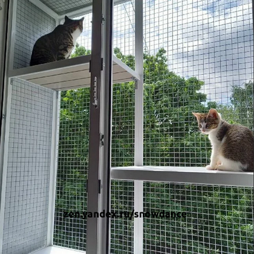 Лето — прекрасная пора! А чтобы ваши котики сполна насладились теплыми деньками, вам понадобятся эти важные вещи. 1. Решетки или сетки на окна Котики очень любят сидеть на окнах и нюхать воздух.