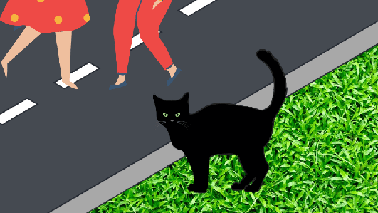 Черная кошка переходит дорогу