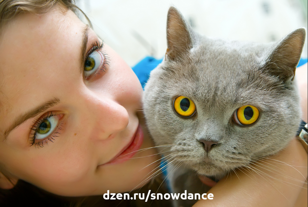 Почему кошки часто "задумываются", направляя пристальный взгляд на человека? Этот вопрос занимает многих хозяев кошек. Чего же на самом деле ждут наши домашние любимцы, когда так смотрят на нас?-2