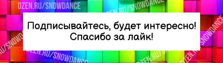 У любителей кошек есть поговорка, что не кошка живет с ними, а они с кошкой. В этом есть большая доля правды, особенно для домов, в которых живут несколько кошек.-3