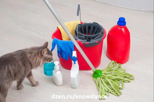 Воздействие химических веществ на кошку