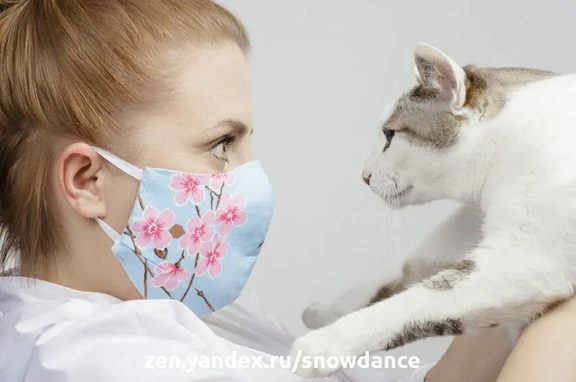 Выражение лица играет важную роль в общении с нашими питомцами. Как же кошки, а также собаки воспринимают маски?-2