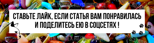 Что такое шишка на нёбе моей кошки? Замечали ли вы шишку на небе вашей кошки между резцами?-2