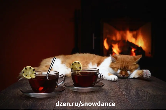 Кошка у камина, безусловно, счастлива, поскольку там тепло)))) можно вздремнуть и понежиться. Однако камин не всегда безопасен для кошки... Как уберечь кошку? Холодная погода за окном...-2