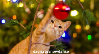 Предрождественская суета может быть очень стрессовой для наших питомцев. Кошка переживает множество необычных ситуаций. Рождественская елка манит попрыгать на ней...-3