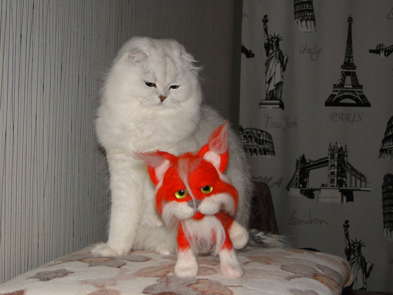 Кошка Кася подозрительно смотрит на котэ. Фото автора.