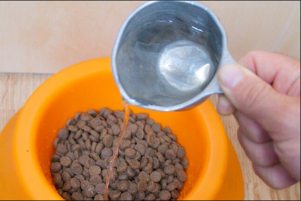 Зачем искать, как сделать сухой корм для кошек мягким? На то есть несколько причин: Сухой кошачий корм может быть трудным для кошек, особенно для пожилых или имеющих проблемы с зубами.