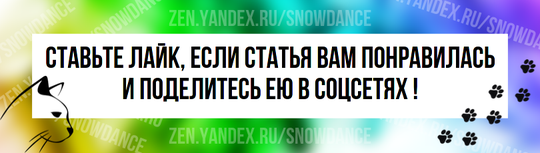 С помощью этих простых шагов вы и ваша кошка сможете наслаждаться совместными прогулками на свежем воздухе.-5