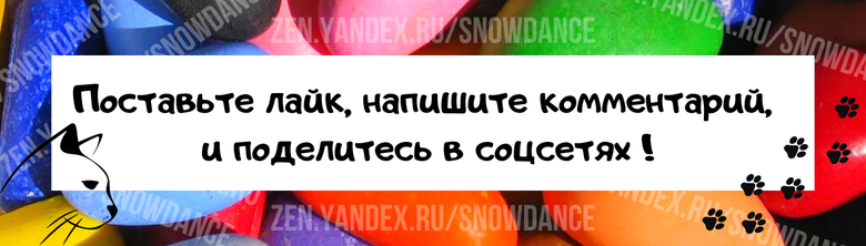 Настроение вашей кошки для вас загадка? Вы не знаете, когда она весела, когда ей грустно, когда ей хочется ласки? Тогда мы спешим вам на помощь!-3