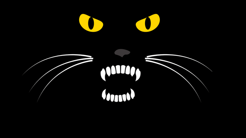 Черная-черная кошка в черном-черном чулане