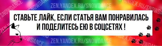 Как вы думаете, какая главная задача заводчика? Многие скажут — работа над породой, улучшение породных качеств, популяризация породы.  И это верно!-7