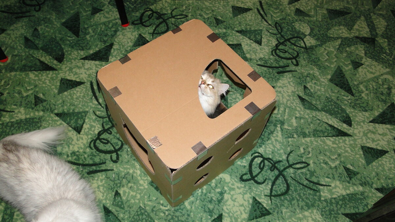 Прислали нам коробочку для кошек на тестирование. Отчитываюсь. Выглядит все это вполне прилично, аккуратно. Яркая упаковка, красивые картинки. Внутри тоже все симпатично.-2