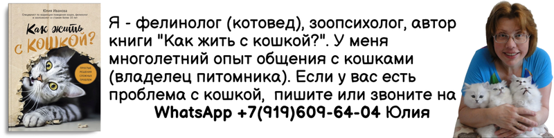 Это книга для самых маленьких кошатников, для малышей в возрасте от трех до семи лет.