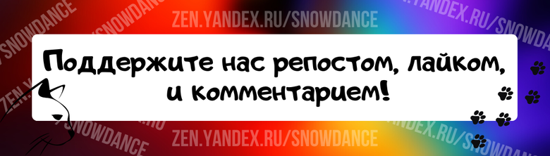 Джулечка практически освоилась в новом доме, привыкла к мамочке и сестренке)))  Кушает хорошо, играет с мячиками)))  Отдыхает на спинке кровати))) Джулька - вабражулька!-3