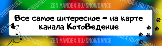 Наша Юсенька в новом доме уже совсем освоилась, и вовсю помогает мамочке Танечке работать))) Юсенька у нас красавица, но не вредина.-4