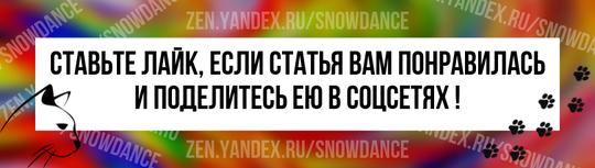 Кошка подошла к одинокому котенку, взяла его за лапу и стала воспитывать вместе со своими.-12