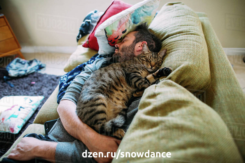 Любимое место, где спит ваша кошка? Если ответ - моя голова - вы не исключение. Только начинающие любители кошек считают, что кошка согласится спать в том месте, которое выберет для нее человек.-3