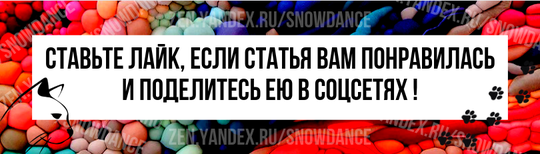 В белых кошках есть что-то притягательное. У этих ангельских кошечек, как правило, голубые глаза, в которых можно утонуть.-9