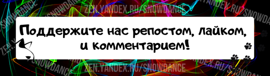 Котенок, которого заметили в офисном здании, пригрелся, решил довериться людям и мурлыкать. Тейлор Николс услышала звук, похожий на кошачий писк, когда была на работе в конце прошлого месяца.-11