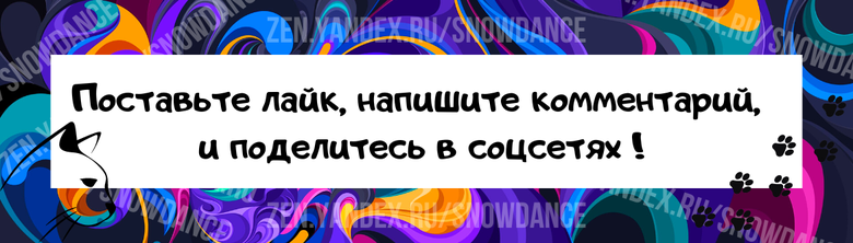 Котенок свернулся калачиком на коленях своего человека и был полон решимости получить все, что он хочет.-2