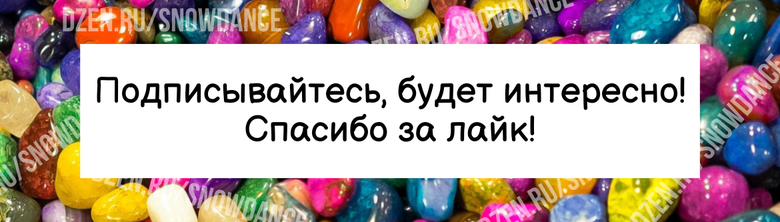 В начале этого месяца на улице был замечен серенький котенок с раной на одной лапке.  Кошечка была найдена брошенной в коробке, и добрый прохожий принес ее в приют.-3