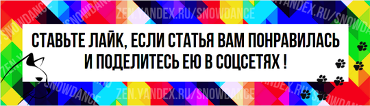 Принято считать, что каждый человек - собачник или кошатник. Вас либо тянет к собакам, либо к кошкам - и между этими типами нет промежуточного.-2