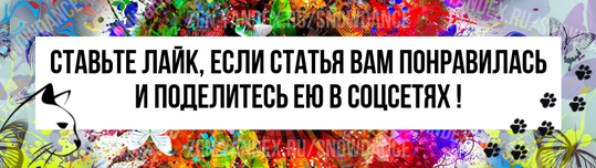 Кошки настолько очаровательны, что мы просто не можем удержаться, чтобы не обнимать их целыми днями. По крайней мере, мне так точно. На самом деле, я постоянно обнимаю  своих кошек.-4