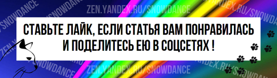 Мы знаем, что кошки - не собаки, поэтому они вряд ли будут приветствовать нас у двери и целовать.-5