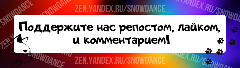 Знают ли коты, что кошка родила именно их котят? В дикой природе лев если завоевал себе прайд львиц, прогнав старого самца, убивает всех львят, которых кормят львицы в данный момент.-3