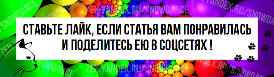 Эксперты по кошкам не любят термин "любовный укус", когда речь заходит об укусах кошки во время ласки или игры.-4