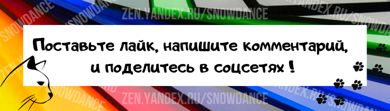 Иногда, когда вопрос заходи о том, какой наполнитель предпочитает ваша кошка, некоторые хозяева хвастаются, что их кошка ходи в пусто лоток БЕЗ наполнителя.  Согласна,для хозяев это сплошная экономия..-3