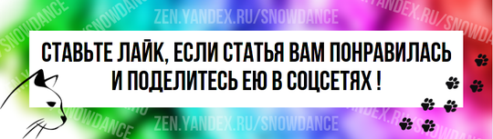 Кошки считаются идеальными домашними животными из-за того, что они не требуют особого ухода.-3