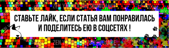 Любопытно узнать, можно ли научить вашу любимую кошку ложиться по команде? По словам дрессировщиков, это одна из самых простых моделей поведения, которой может научиться кошка.-2