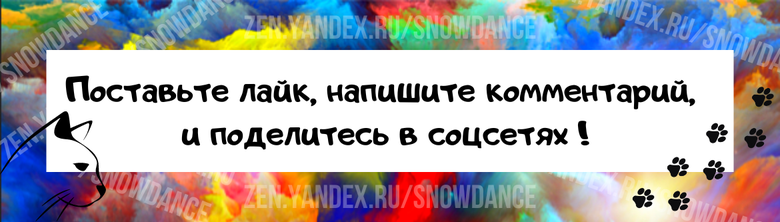 Если ваша кошка когда-нибудь пропадала, вам знакомо это ужасное чувство, когда вы не знаете, куда делся ваш питомец. Правда ли, что кошки могут сами найти дорогу домой?-3