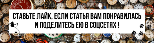 Кошки обычно точно знают, когда их нужно кормить. И если миска наполняется даже на несколько минут позже, можно ожидать эмоциональной реакции... мы-то знаем, о чем говорим, верно?-5