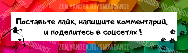 Лето ... каким бы прекрасным ни было это время года, комары не нравятся никому. Но знаете ли вы, что комары могут кусать и кошек?-4