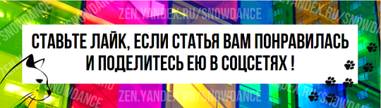 Мы знаем, что кастрация вашей кошки - это лучшее, что вы можете для нее сделать.-5