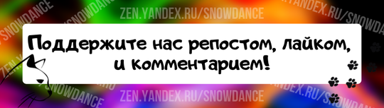 Если ваш кот не кастрирован, живет дома и не видел кошек, может ли он прожить так всю жизнь, и быть полностью здоровым? Ответ на этот вопрос — скорее всего, нет.-2