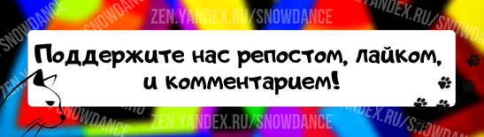 Итак, ваша кошка подхватила ларингит и не может мяукать, как обычно. Вернется ли когда-нибудь голос вашей кошки? Можете ли вы чем-нибудь помочь? Прежде всего, необходимо выяснить причину.-3