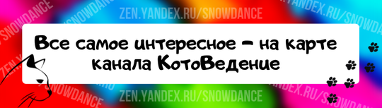 Если вы обнаружили на ковре обломки когтей вашей кошки, хорошая новость заключается в том, что это нормально. Когда кошачьи когти отрастают, они образуют так называемые когтевые ножны.-2