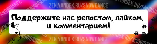 Некоторые кошки едят свою еду каждый день и даже не замечают человеческой пищи вокруг себя, но другие более любопытны. Если это похоже на вашу кошку, возможно, она захочет попробовать ананас.-4