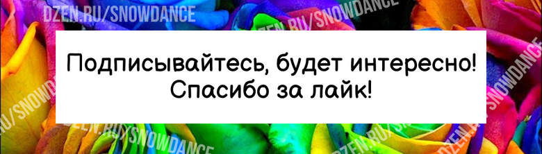 Хотя я лично люблю морскую капусту в качестве здоровой закуски, я знаю, что не все продукты, полезные для человека, безопасны для домашних животных. Вот почему мне пришлось провести исследование.-4