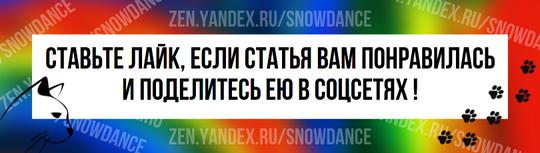 В наши дни, кажется, все только и говорят о полезном кокосе. Мы все слышали о полезных свойствах кокосовой воды, кокосового масла и, конечно же, кокосового молока.-3