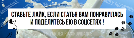 Владельцы часто не рекомендуют давать кошкам молочные продукты, поскольку многие из них не переносят лактозу, а коровье молоко может вызывать расстройство желудка, газы и другие желудочно-кишечные...-2