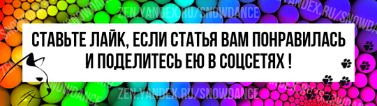 Когда вы берете котенка или кошку (в питомнике или в приюте), вы встречаете Снежинку, Макса, Пушка или Маркизу. У всех котят и кошек есть имена... Но вам может понравится котенок, но не его имя...-5