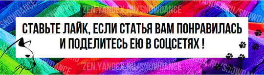 Кошки известны своей самостоятельностью. Лоток в доме означает, что кошку не нужно выгуливать в туалет, как собаку. В общем, они гораздо менее нуждаются в заботе, чем собаки.-2