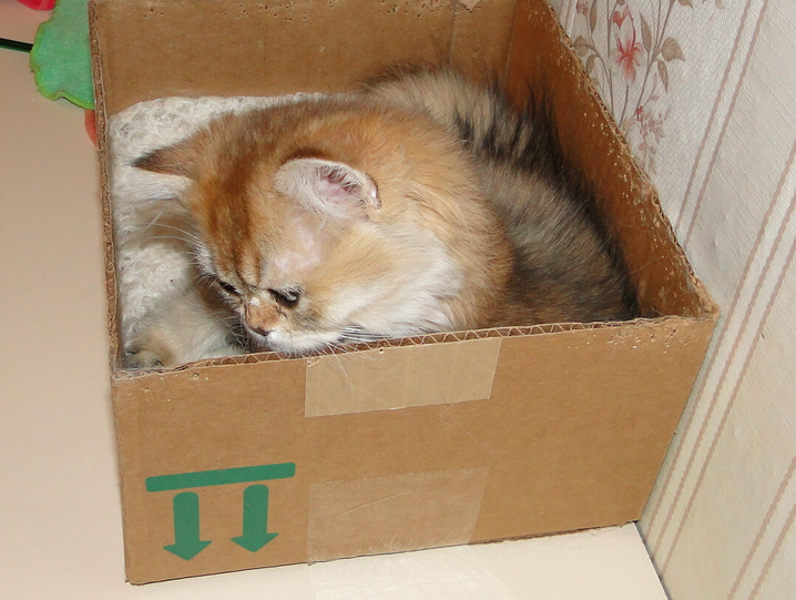 Оленька